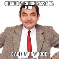 QUANDO A CRUSH PASSA NA RUA E ACENA PRA VOCÉ