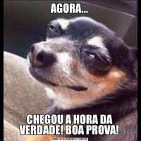 AGORA...CHEGOU A HORA DA VERDADE! BOA PROVA!