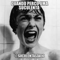 QUANDO PERCO UMA SUCULENTA @SUCULENTASDAJO