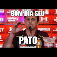 BOM DIA SEU PATO