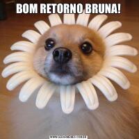 BOM RETORNO BRUNA!