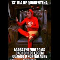 13° DIA DE QUARENTENAAGORA ENTENDI PQ OS CACHORROS FOGEM QUANDO O PORTÃO ABRE