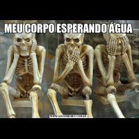 MEU CORPO ESPERANDO ÁGUA