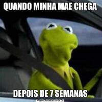 QUANDO MINHA MAE CHEGADEPOIS DE 7 SEMANAS