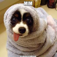 MIM