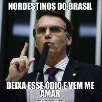 NORDESTINOS DO BRASILDEIXA ESSE ÓDIO E VEM ME AMAR