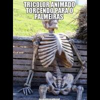 TRICOLOR ANIMADO TORCENDO PARA O PALMEIRAS 