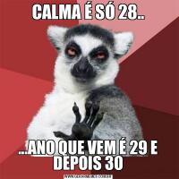 CALMA É SÓ 28.....ANO QUE VEM É 29 E DEPOIS 30