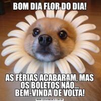 BOM DIA FLOR DO DIA!AS FÉRIAS ACABARAM, MAS OS BOLETOS NÃO... BEM-VINDA DE VOLTA!