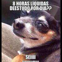 8 HORAS LÍQUIDAS DEESTUDO POR DIA??SEIIII