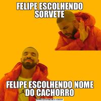 FELIPE ESCOLHENDO SORVETEFELIPE ESCOLHENDO NOME DO CACHORRO