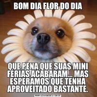 BOM DIA FLOR DO DIAQUE PENA QUE SUAS MINI FÉRIAS ACABARAM... MAS ESPERAMOS QUE TENHA APROVEITADO BASTANTE.