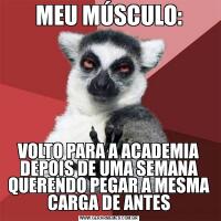 MEU MÚSCULO:VOLTO PARA A ACADEMIA DEPOIS DE UMA SEMANA QUERENDO PEGAR A MESMA CARGA DE ANTES