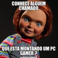 CONHECE ALGUEM CHAMADOQUE ESTA MONTANDO UM PC GAMER ?