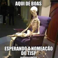 AQUI DE BOASESPERANDO A NOMEAÇÃO DO TJSP