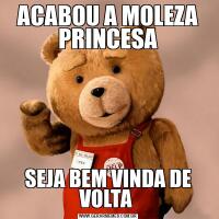 ACABOU A MOLEZA PRINCESASEJA BEM VINDA DE VOLTA 