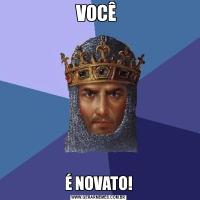 VOCÊ É NOVATO!