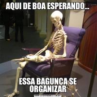AQUI DE BOA ESPERANDO...ESSA BAGUNÇA SE ORGANIZAR
