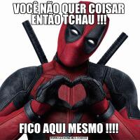VOCÊ NÃO QUER COISAR ENTÃO TCHAU !!!FICO AQUI MESMO !!!!