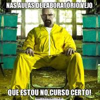 NAS AULAS DE LABORATÓRIO VEJOQUE ESTOU NO CURSO CERTO!