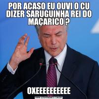 POR ACASO EU OUVI O CU DIZER SARUGUINHA REI DO MAÇARICO ?OXEEEEEEEEEE