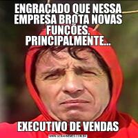 ENGRAÇADO QUE NESSA EMPRESA BROTA NOVAS FUNÇÕES, PRINCIPALMENTE...EXECUTIVO DE VENDAS