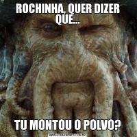 ROCHINHA, QUER DIZER QUE...TU MONTOU O POLVO?