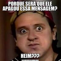 PORQUE SERÁ QUE ELE APAGOU ESSA MENSAGEM?HEIM???