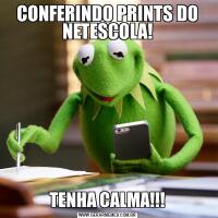 CONFERINDO PRINTS DO NETESCOLA!TENHA CALMA!!!