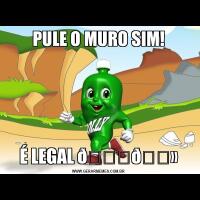 PULE O MURO SIM!É LEGAL 