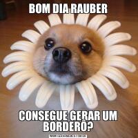 BOM DIA RAUBERCONSEGUE GERAR UM BORDERÔ?