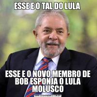 ESSE E O TAL DO LULA ESSE E O NOVO MEMBRO DE BOB ESPONJA O LULA MOLUSCO