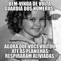 BEM-VINDA DE VOLTA, GUARDIÃ DOS NÚMEROS! AGORA QUE VOCÊ VOLTOU, ATÉ AS PLANILHAS RESPIRARAM ALIVIADAS.