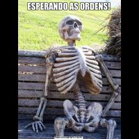 ESPERANDO AS ORDENS!