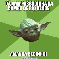 DÁ UMA PASSADINHA NA CÂMRA DE RIO VERDE AMANHA CEDINHO! 