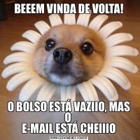 BEEEM VINDA DE VOLTA!O BOLSO ESTÁ VAZIIO, MAS O 
E-MAIL ESTÁ CHEIIIO