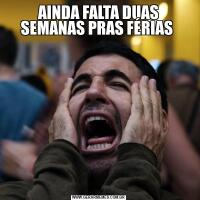 AINDA FALTA DUAS SEMANAS PRAS FÉRIAS 
