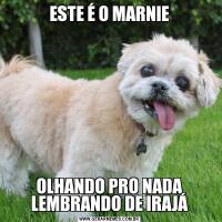 ESTE É O MARNIEOLHANDO PRO NADA LEMBRANDO DE IRAJÁ
