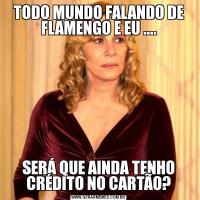 TODO MUNDO FALANDO DE FLAMENGO E EU ....SERÁ QUE AINDA TENHO CRÉDITO NO CARTÃO?