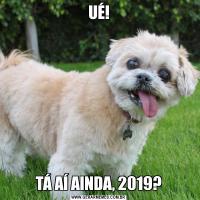 UÉ!TÁ AÍ AINDA, 2019?