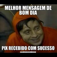 MELHOR MENSAGEM DE BOM DIAPIX RECEBIDO COM SUCESSO
