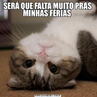 SERÁ QUE FALTA MUITO PRAS MINHAS FÉRIAS 