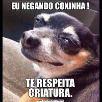 EU NEGANDO COXINHA !TE RESPEITA CRIATURA.