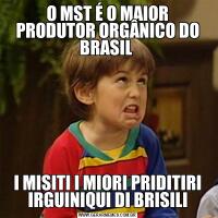 O MST É O MAIOR PRODUTOR ORGÂNICO DO BRASIL I MISITI I MIORI PRIDITIRI IRGUINIQUI DI BRISILI