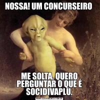 NOSSA! UM CONCURSEIRO ME SOLTA, QUERO PERGUNTAR O QUE É SOCIDIVAPLU.