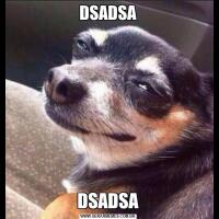 DSADSADSADSA