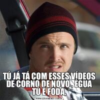 TÚ JÁ TÁ COM ESSES VÍDEOS DE CORNO DE NOVO , ÉGUA TÚ É FODA,