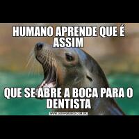 HUMANO APRENDE QUE É ASSIMQUE SE ABRE A BOCA PARA O DENTISTA