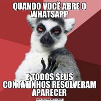 QUANDO VOCÊ ABRE O WHATSAPPE TODOS SEUS CONTATINHOS RESOLVERAM APARECER