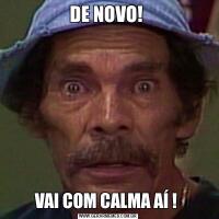 DE NOVO! VAI COM CALMA AÍ ! 